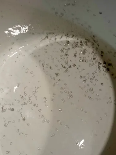Любовь Т.